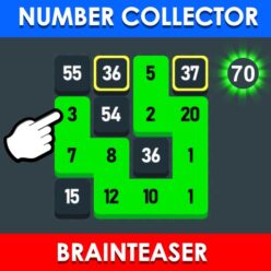 Number Collector: Brainteaser